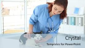  Presentation with oral cancer teeth - Presentation theme with germs hospitals - veterinarian brushing cat's teeth background and a light blue colored foreground