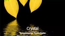  Presentation with water leaf - PPT layouts with hosta leaf abstract design background and a black colored foreground