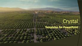  Presentation with hot air balloons - Slides enhanced with hot-air-balloons-fly-over background and a tawny brown colored foreground