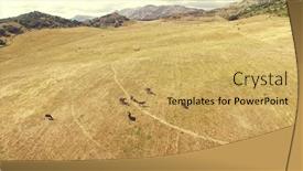  Presentation with wild horses - PPT theme consisting of hot-and-sanny-day background and a yellow colored foreground