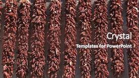  Presentation with chile - Cool new presentation theme with hot chile peppers in street backdrop and a tawny brown colored foreground