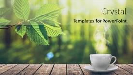  Presentation with blur - Amazing slides having hot-coffee-on-the-table backdrop and a soft green colored foreground