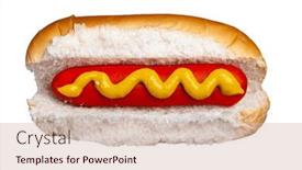  Presentation with dog food - 