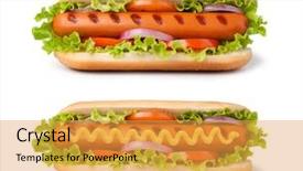  Presentation with dog - Colorful theme enhanced with hot dog with mustard isolated backdrop and a yellow colored foreground