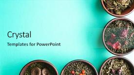  Presentation with tea variety - Theme enhanced with hot mix plant - variety of green tea background and a  colored foreground