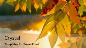  Presentation with painted by me nice - Beautiful presentation theme featuring hot sun - nice autumn leafage backdrop and a yellow colored foreground
