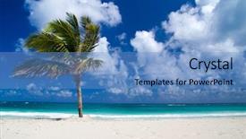  Presentation with palm beach - Slides having hot sunny days - palm trees on tropical beach background and a teal colored foreground
