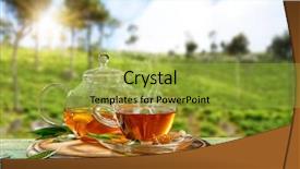  Presentation with hot tea - PPT theme consisting of hot tea with plantation background and a yellow colored foreground