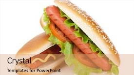  Presentation with dogs - Slide deck with fish istiophorus isolated on sea background and a teal colored foreground.