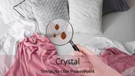  Presentation with magnifying glass - Audience pleasing presentation consisting of hotel - woman with magnifying glass detecting backdrop and a coral colored foreground