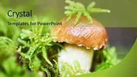  Presentation with keys - PPT theme featuring hotel-bronze-keys-with-room background and a yellow colored foreground