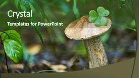  Presentation with keys - Amazing PPT theme having hotel-bronze-keys-with-room backdrop and a tawny brown colored foreground