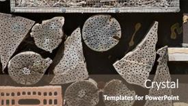  Presentation with biodiversity - Presentation theme with hotel-for-insectrs-close-up background and a tawny brown colored foreground