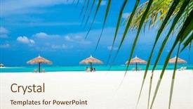  Presentation with beach palm tree wedding - Slide set featuring hotel luxury - white tropical beach in maldives background and a sky blue colored foreground