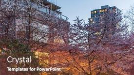  Presentation with house building - Amazing slide set having house-building-and-city-construction backdrop and a tawny brown colored foreground