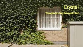  Presentation with ivy - Presentation theme consisting of golden ball close-up ribbon background and a tawny brown colored foreground.