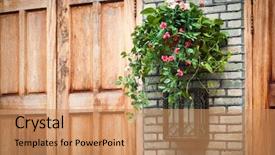  Presentation with events and decoration presentation - Colorful PPT layouts enhanced with house decoration - hanging houseplant basket backdrop and a coral colored foreground