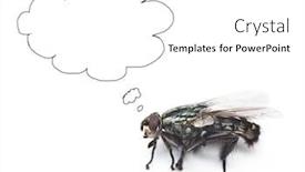  Presentation with white house - Presentation design enhanced with house-fly-with-speech-bubbles background and a white colored foreground