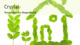  Presentation with veterinary symbol - Slides having house ecological - home symbol made background and a blonde colored foreground