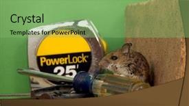  Presentation with workshop tools - Amazing presentation having house mouse hiding in the workshop among hand tools backdrop and a seafoam green colored foreground