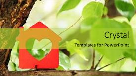  Presentation with house fly insect close up - Slide set featuring house on tree close up background and a yellow colored foreground