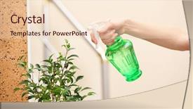  Presentation with blurred flowers - Theme with house plants - male hand spraying flowers background and a  colored foreground