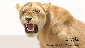  Presentation with teeth - Beautiful theme featuring house the great serengeti national backdrop and a coral colored foreground