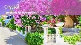  Presentation with bougainvillea - Amazing slides having house with bougainvillea backdrop and a coral colored foreground