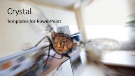  Presentation with flying - Theme consisting of houseflies - housefly close-up flying in kitchen background and a soft green colored foreground