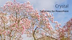  Presentation with north america - 