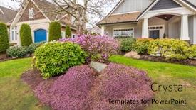  Presentation with coloured - Colorful slide set enhanced with houses in suburb with spring blossom in the north america luxury houses with nice white and pink coloured landscape backdrop and a violet colored foreground