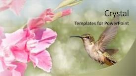  Presentation with hovering - PPT theme with hovering next to a pink background and a mint green colored foreground