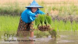  Presentation with tribe - 