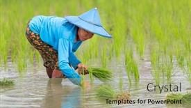  Presentation with tribe - 