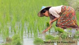  Presentation with tribe - Beautiful presentation theme featuring hpa-an-myanmar-january-20 backdrop and a  colored foreground
