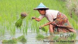  Presentation with tribe - 