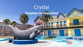  Presentation with whale - 