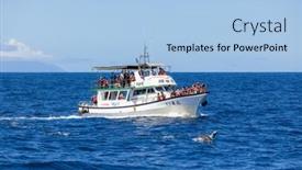  Presentation with whale - 