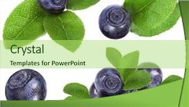  Presentation with green leaves - Amazing PPT theme having huckleberry with green leaves blueberry backdrop and a yellow colored foreground