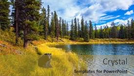  Presentation with fall lake - Amazing slides having huge-black-bear-is-resting backdrop and a gold colored foreground