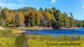  Presentation with fall lake - Amazing presentation theme having huge-black-bear-is-resting backdrop and a gold colored foreground