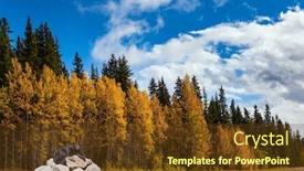  Presentation with black bear - PPT theme having huge-black-bear-is-resting background and a tawny brown colored foreground