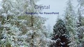  Presentation with spruce - Presentation theme featuring huge-deer-stands background and a sky blue colored foreground