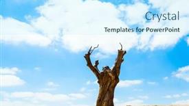  Presentation with memorial - Presentation theme with huge-dry-stump background and a cool aqua colored foreground