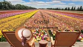  Presentation with elegant flowers - PPT theme featuring huge field flowers at the edge of the field on wooden platform are two comfortable sun loungers on one of them hangs an elegant female hat background and a coral colored foreground
