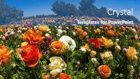  Presentation with israel - Slide deck consisting of huge-field-of-picturesque background and a teal colored foreground