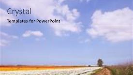  Presentation with red floral - Slide set featuring huge-floral-carpet-of-fresh background and a light blue colored foreground