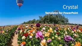  Presentation with multicolor - Presentation theme consisting of huge-multicolor-balloon-flies-over background and a teal colored foreground