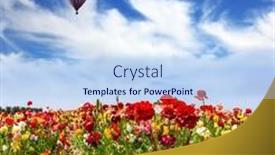  Presentation with hot spring - PPT layouts having huge-multicolored-hot-air-balloon background and a sky blue colored foreground