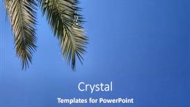  Presentation with blue video - Colorful PPT theme enhanced with huge-palm-leaves-on-blue backdrop and a teal colored foreground